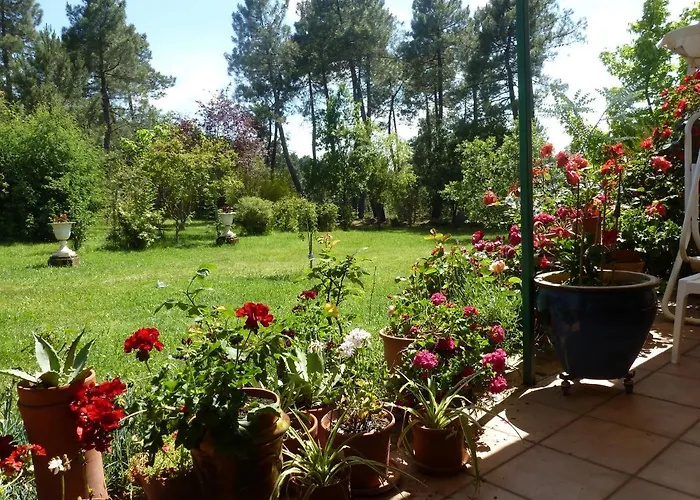 Domaine Du Planas - Patio