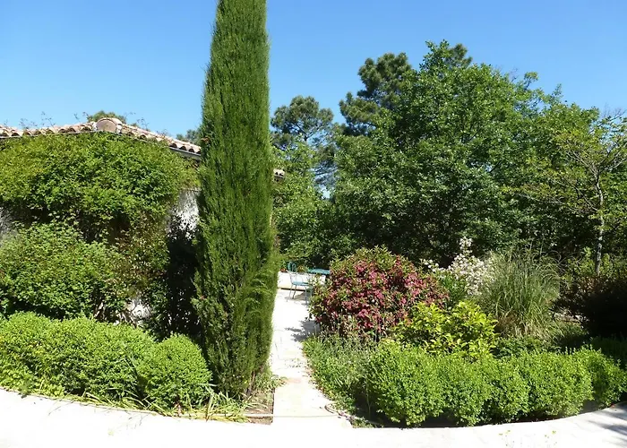Domaine Du Planas - Patio